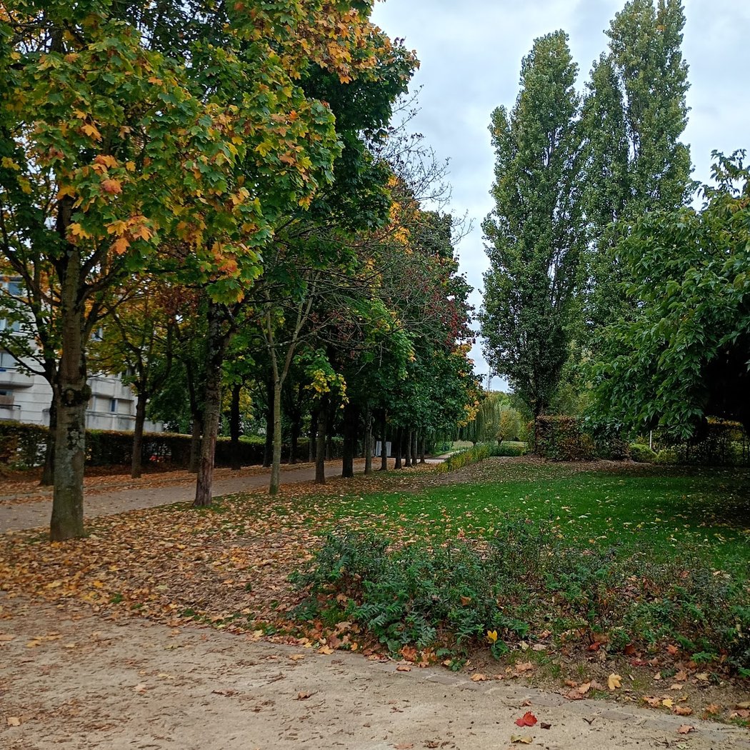 Silence Garden 3
